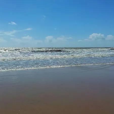 Les Flots Des Demoiselles *