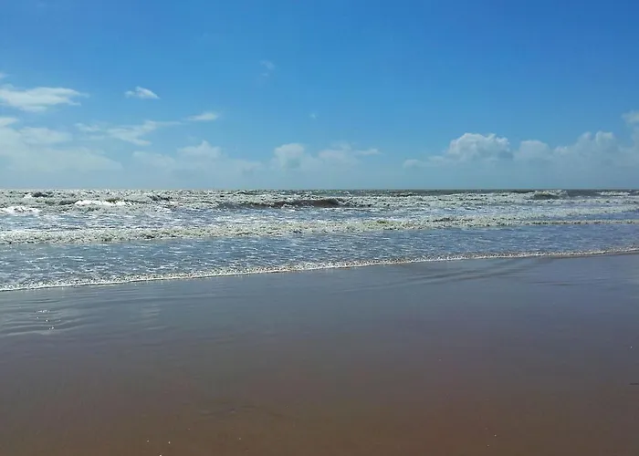 Les Flots Des Demoiselles *